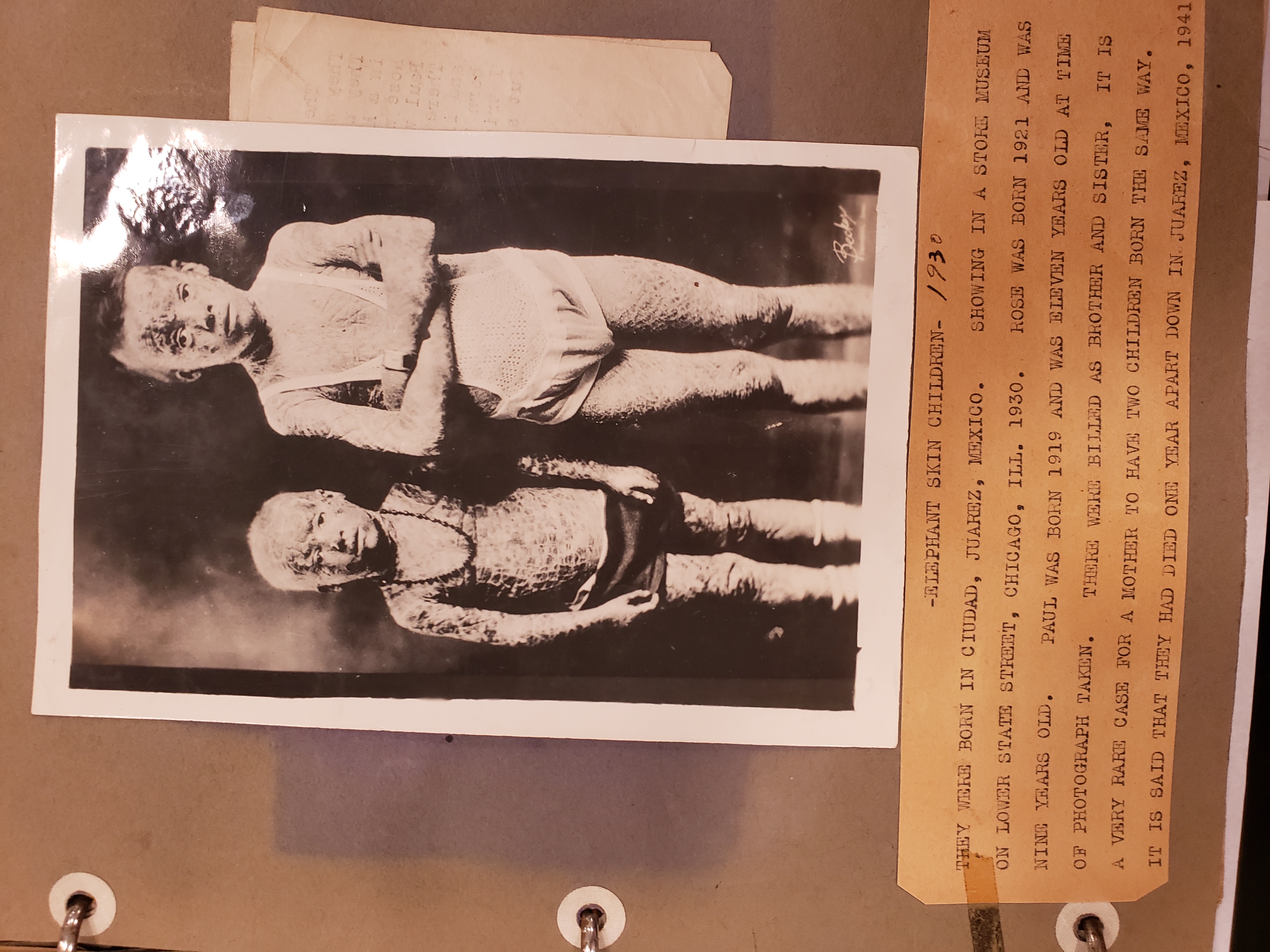 Elephant Skin Children