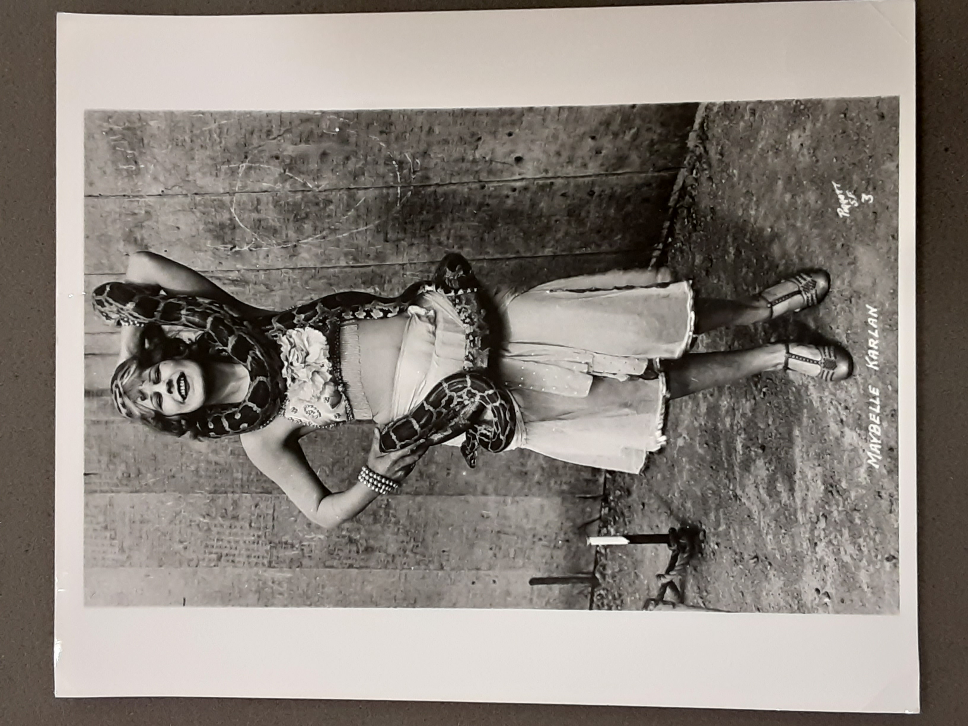 Exotic Accessory (snake)